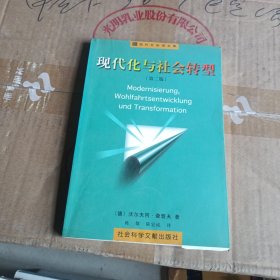 现代化与社会转型