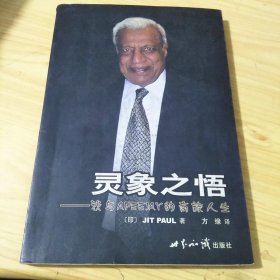 灵象之悟
