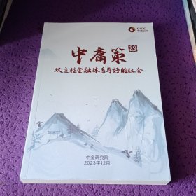 中金公司：中庸策双支柱金融体系与好的社会2023