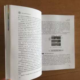 微米纳米技术丛书·MEMS与微系统系列：聚合物微纳制造技术