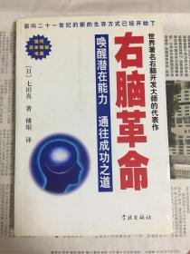 右脑革命 唤醒潜在能力 通往成功之道