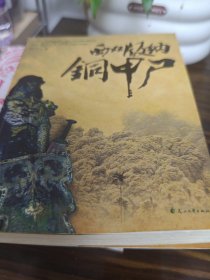 西双版纳铜甲尸