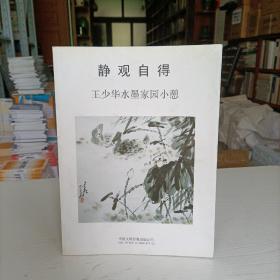 静观自得 王少华水墨家园小憩