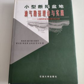 小型断陷盆地油气勘探理论与实践