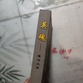 英魂:潘心元传