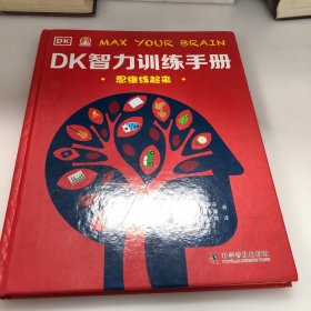 DK智力训练手册 思维练起来（精）