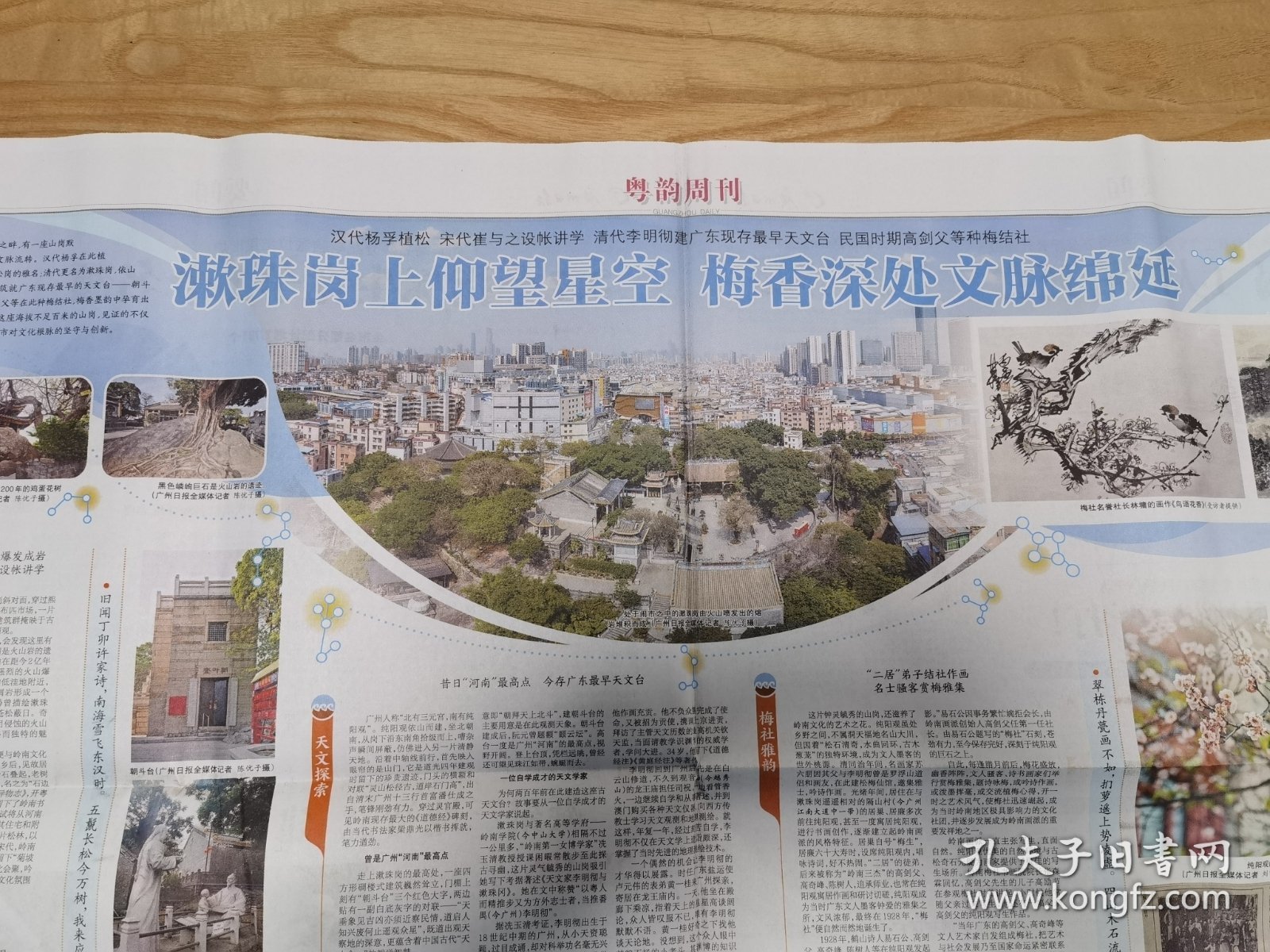 广州日报粤韵周刊 漱珠岗上仰望星空梅香深处文脉绵延 （一张）