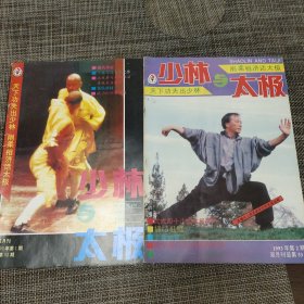 少林与太极（1993年1.2期）