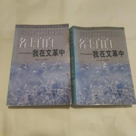 名士自白:我在文革中，（上下）