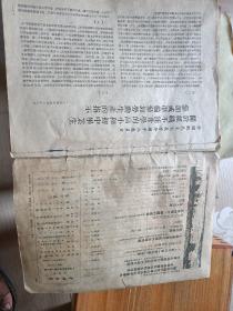 中国青年 1954年9月(缺页，开胶，散页)