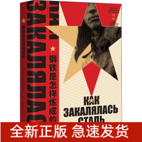 钢铁是怎样炼成的