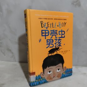 甲壳虫男孩