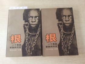 根:一个美国家族的历史:上下册
