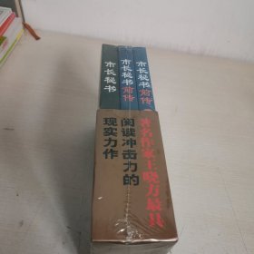 市长秘书（全3册）