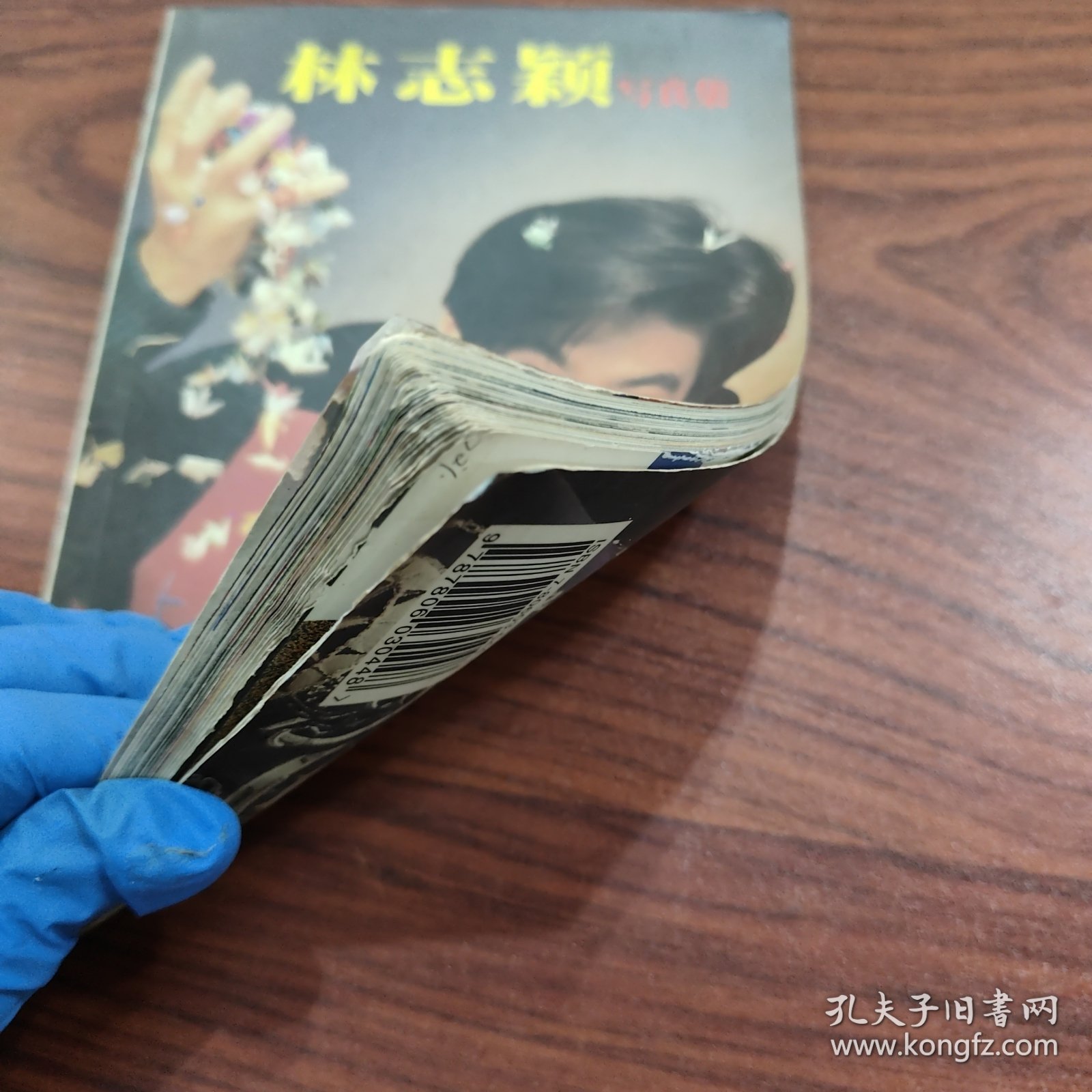 林志颖写真集