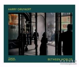 哈利·格鲁亚特：两个世界 Harry Gruyaert: Between Worlds 摄影集