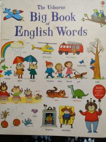 The Usborne big book of english words