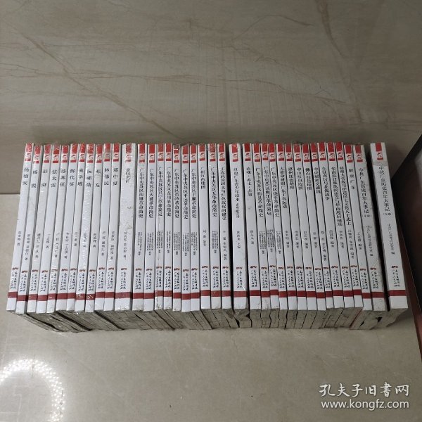 红色广东丛书：杨匏安（庆祝中国共产党成立100周年！广东省委宣传部2021年主题出版重点出版物！）