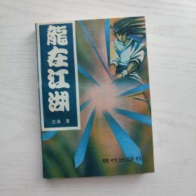 龙在江湖:现代武侠小说