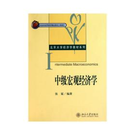 中级宏观经济学 大中专文科新闻 张延 新华正版