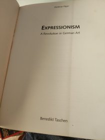 EXPRESSIONISM（英文原版画集）表现主义画册