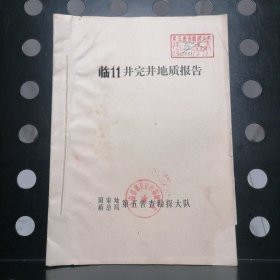 临11井完井地质报告【内附图表】