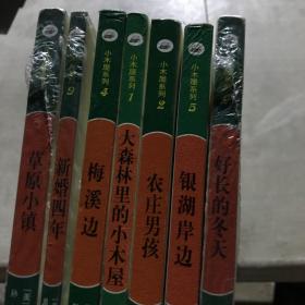 草原小镇（入选新闻出版总署向青少年推荐的百种优秀图书）-小木屋系列