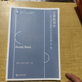 计算机审计——基于用友CPAS审计信息系统（第二版）
