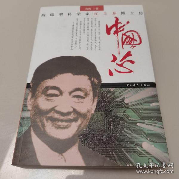 中国芯：战略型科学家江上舟博士传