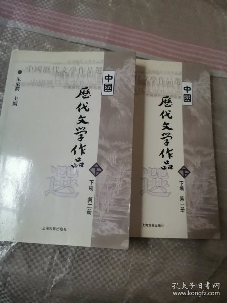 中国历代文学作品 下编第一二册
