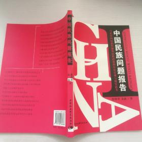 中国民族问题报告