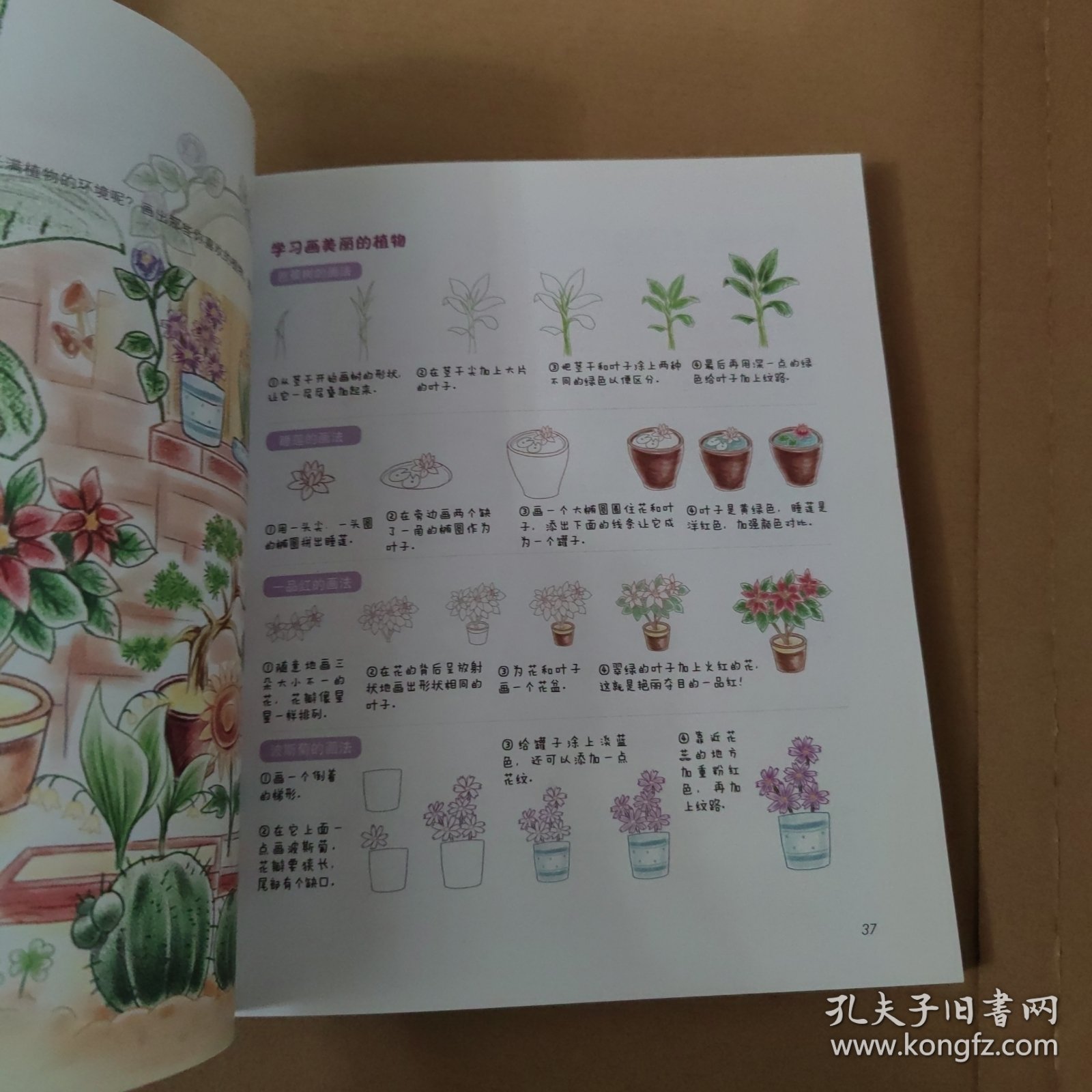 彩绘色铅笔技法从入门到精通