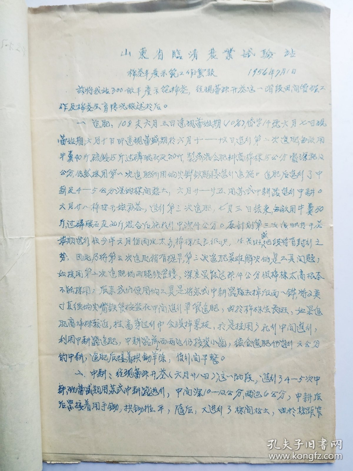 棉花丰产示范工作汇报