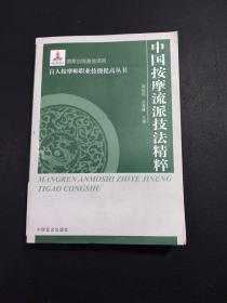 盲人按摩师职业技能提高丛书：中国按摩流派技法精萃（大字本）