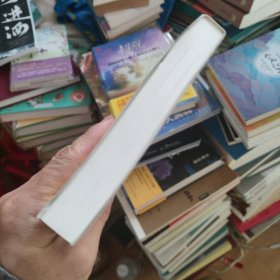 纳瓦尔宝典：从白手起家到财务自由，硅谷知名天使投资人纳瓦尔智慧箴言录