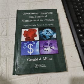 government budgeting and financial management in practice 侧面脏见图