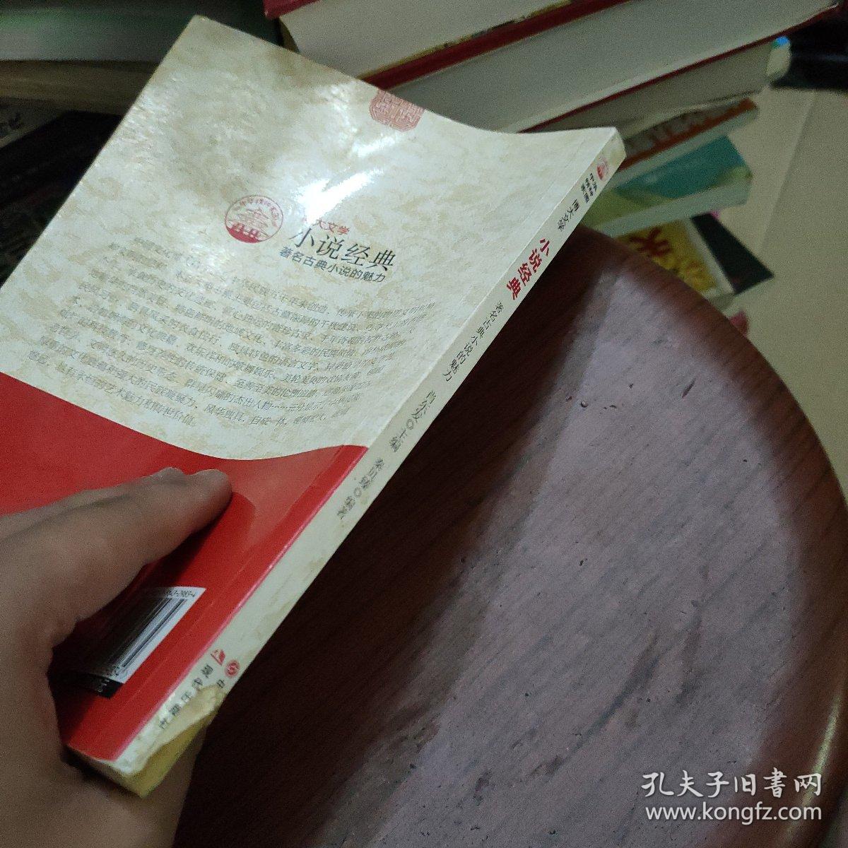 中华精神家园 博大文学：小说经典 著名古典小说的魅力