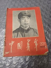 中国青年(学习王杰专辑)