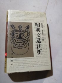 昭明文选注析