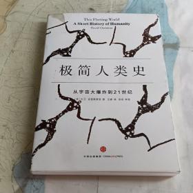 极简人类史：从宇宙大爆炸到21世纪