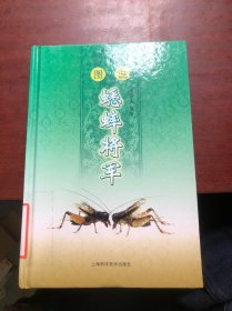 图说蟋蟀将军