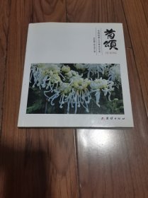 菊颂 20开