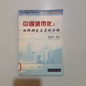 中国城市化：田野研究与省例分析:中国留美经济学会(CES)中国城市化问题专著之二（馆藏）