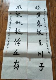 王家葵书法对联(17x69x2).