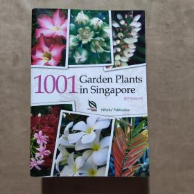 1001Garden Plants in Singapore