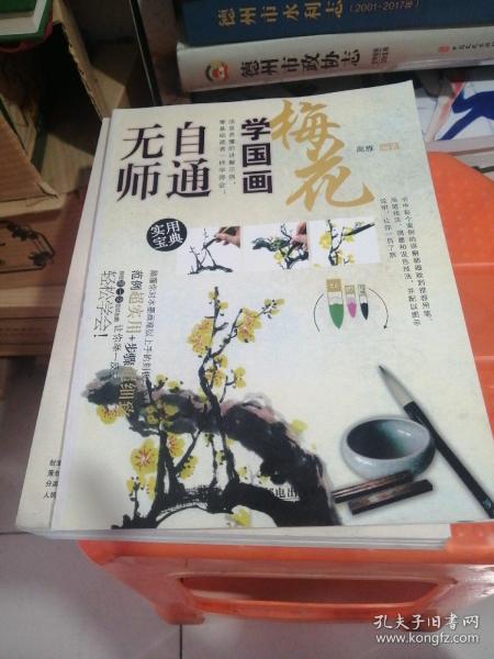 无师自通学国画1：梅花