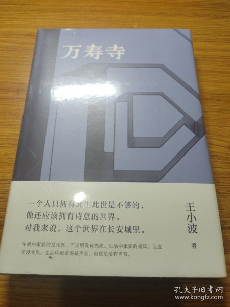 万寿寺（王小波经典，20世纪蕞好的汉语小说之一！马伯庸盛赞“无可救药地喜欢”，2023新版）