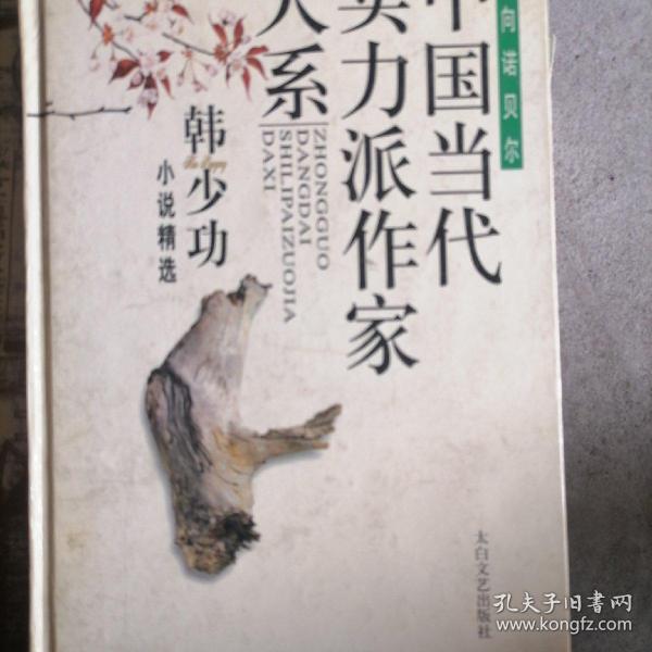 韩少功小说精选 （下）