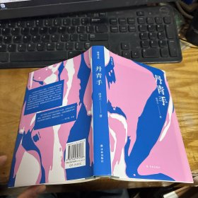 丹青手