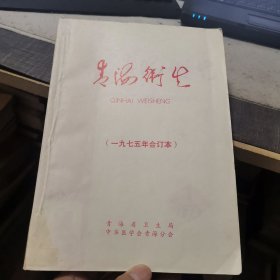 《青海卫生》杂志1975年1-6期平装合订本（外品如图，内杂志近9品品好）